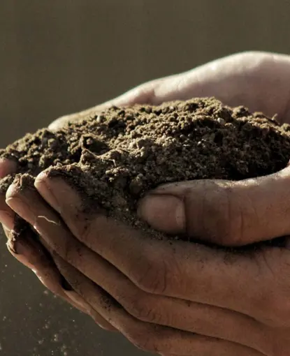 Hands holding soil